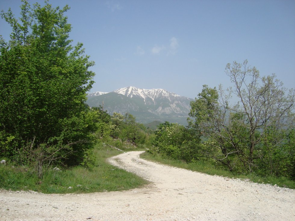 Panorama campagna primavera