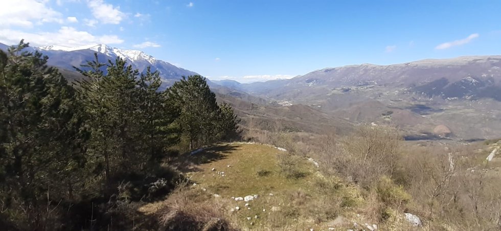 Ara Remmanducce Rendinara