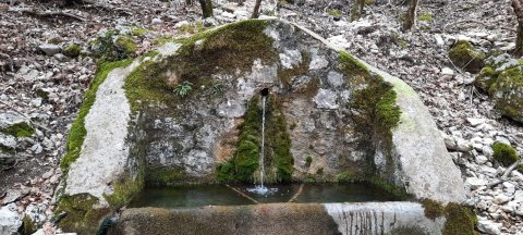 Fonte Uccellitte Rendinara