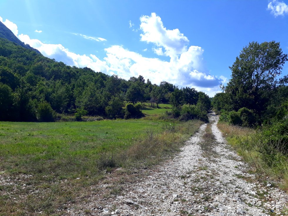 panorama estivo campagna